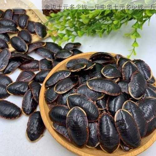 金边土元多少钱一斤中华土元多少钱一斤第2张-蔬菜基地绿色种植产业带 金边土元多少钱一斤中华土元多少钱一斤