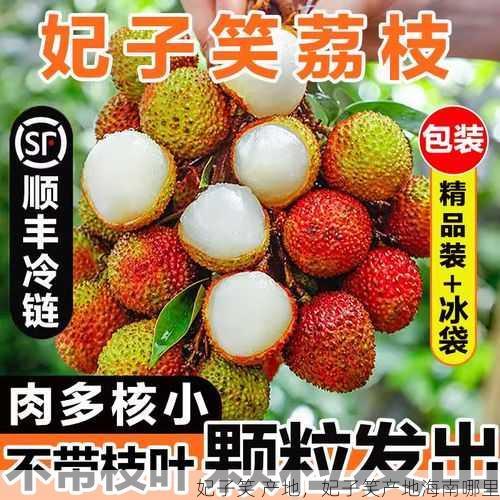妃子笑 产地,妃子笑产地海南哪里第2张-蔬菜基地绿色种植产业带 妃子笑 产地,妃子笑产地海南哪里