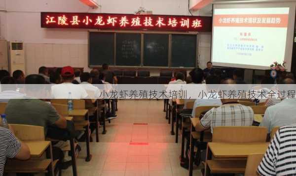 小龙虾养殖技术培训,小龙虾养殖技术全过程第2张-蔬菜基地绿色种植产业带 小龙虾养殖技术培训,小龙虾养殖技术全过程