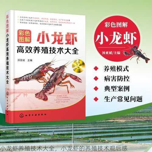 小龙虾养殖技术大全,小龙虾的养殖技术观后感第1张-蔬菜基地绿色种植产业带 小龙虾养殖技术大全,小龙虾的养殖技术观后感