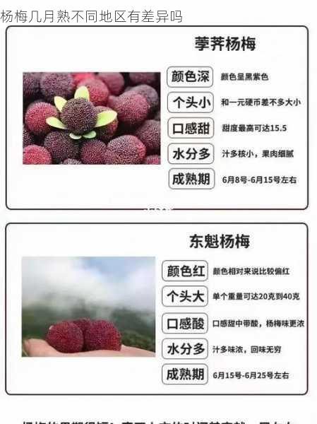 杨梅几月熟不同地区有差异吗第2张-蔬菜基地绿色种植产业带 杨梅几月熟不同地区有差异吗