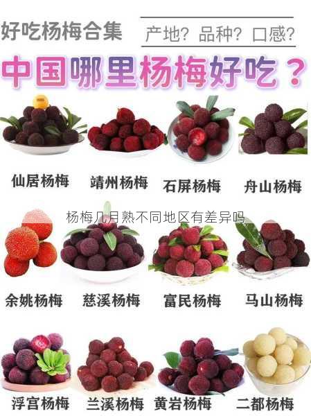 杨梅几月熟不同地区有差异吗第1张-蔬菜基地绿色种植产业带 杨梅几月熟不同地区有差异吗