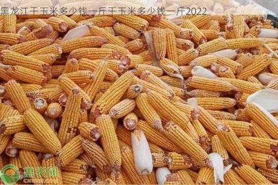 黑龙江干玉米多少钱一斤干玉米多少钱一斤2022第2张-蔬菜基地绿色种植产业带