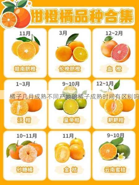 橘子几月成熟不同产地的橘子成熟时间有区别吗第1张-蔬菜基地绿色种植产业带 橘子几月成熟不同产地的橘子成熟时间有区别吗