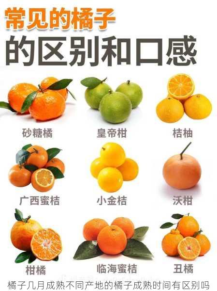 橘子几月成熟不同产地的橘子成熟时间有区别吗第2张-蔬菜基地绿色种植产业带 橘子几月成熟不同产地的橘子成熟时间有区别吗