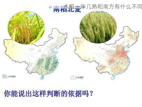 水稻一年几熟和南方有什么不同第2张-蔬菜基地绿色种植产业带 水稻一年几熟和南方有什么不同