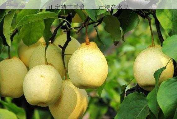 正定特产美食,正定特产水果第1张-蔬菜基地绿色种植产业带 正定特产美食,正定特产水果