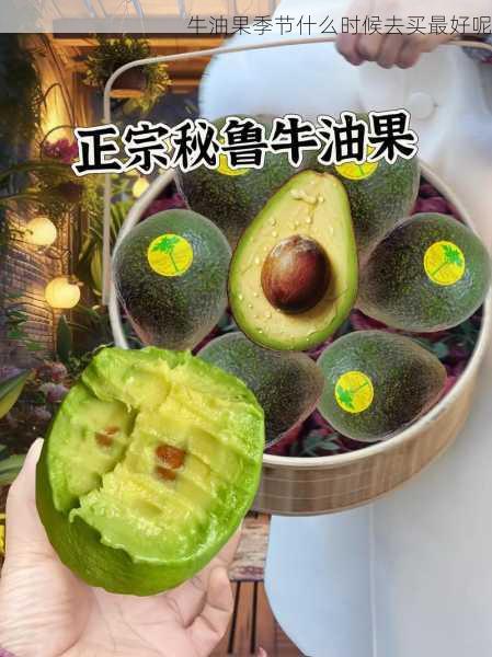 牛油果季节什么时候去买最好呢第1张-蔬菜基地绿色种植产业带 牛油果季节什么时候去买最好呢