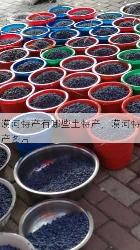 漠河特产有哪些土特产,漠河特产图片第1张-蔬菜基地绿色种植产业带 漠河特产有哪些土特产,漠河特产图片