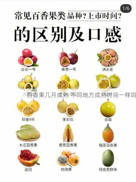 百香果几月成熟 不同地方成熟时间一样吗第1张-蔬菜基地绿色种植产业带 百香果几月成熟 不同地方成熟时间一样吗