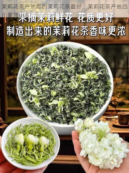 茉莉花茶产地哪的茉莉花茶最好,茉莉花茶产地四川蒙顶山第2张-蔬菜基地绿色种植产业带 茉莉花茶产地哪的茉莉花茶最好,茉莉花茶产地四川蒙顶山