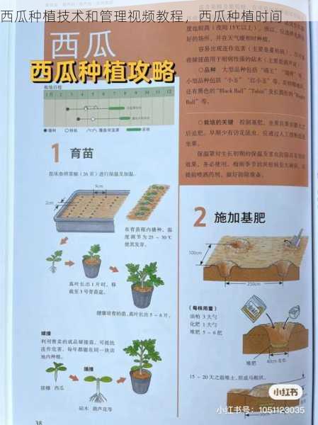 西瓜种植技术和管理视频教程,西瓜种植时间第1张-蔬菜基地绿色种植产业带 西瓜种植技术和管理视频教程,西瓜种植时间
