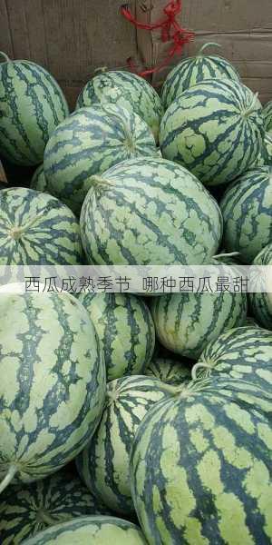 西瓜成熟季节 哪种西瓜最甜第2张-蔬菜基地绿色种植产业带 西瓜成熟季节 哪种西瓜最甜