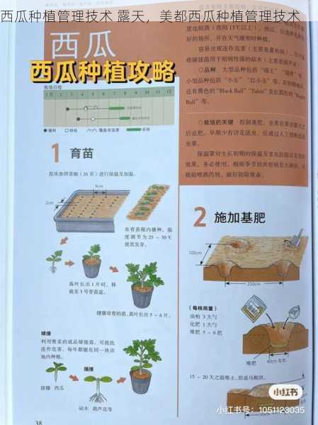 西瓜种植管理技术 露天,美都西瓜种植管理技术第2张-蔬菜基地绿色种植产业带 西瓜种植管理技术 露天,美都西瓜种植管理技术