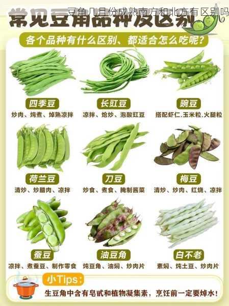 豆角几月份成熟南方和北方有区别吗第1张-蔬菜基地绿色种植产业带 豆角几月份成熟南方和北方有区别吗