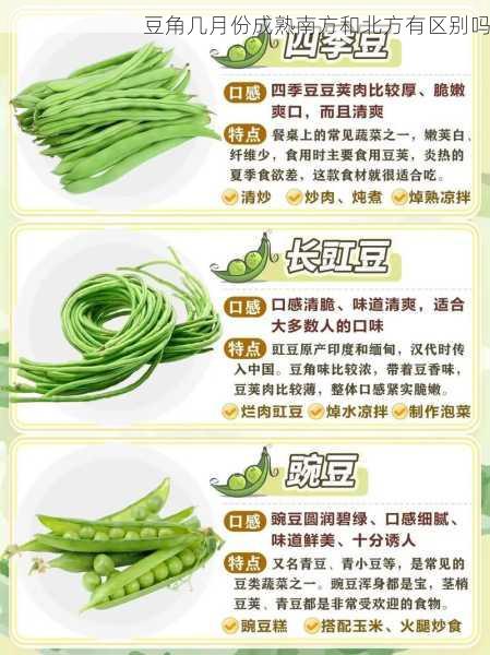 豆角几月份成熟南方和北方有区别吗第2张-蔬菜基地绿色种植产业带 豆角几月份成熟南方和北方有区别吗