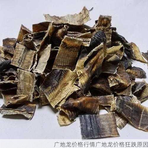 广地龙价格行情广地龙价格狂跌原因第2张-蔬菜基地绿色种植产业带 广地龙价格行情广地龙价格狂跌原因