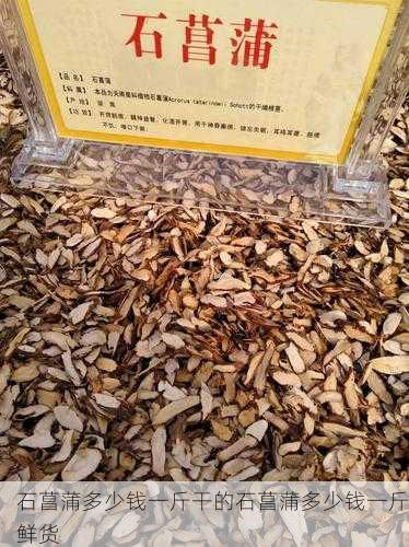 石菖蒲多少钱一斤干的石菖蒲多少钱一斤鲜货第2张-蔬菜基地绿色种植产业带 石菖蒲多少钱一斤干的石菖蒲多少钱一斤鲜货