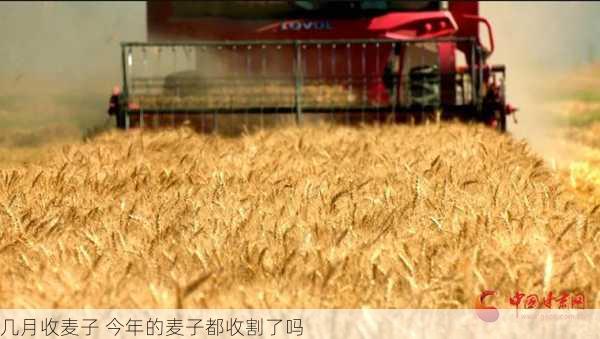 几月收麦子 今年的麦子都收割了吗第1张-蔬菜基地绿色种植产业带