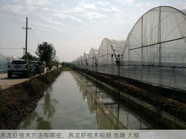 养龙虾技术方法有哪些,养龙虾技术视频 池塘 大棚第1张-蔬菜基地绿色种植产业带 养龙虾技术方法有哪些,养龙虾技术视频 池塘 大棚