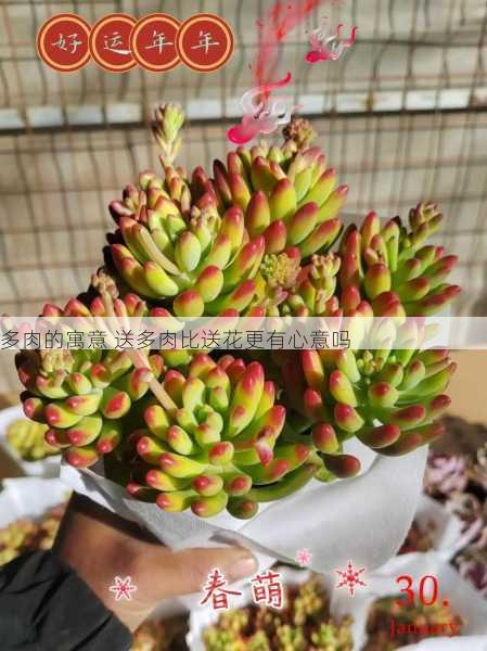 多肉的寓意 送多肉比送花更有心意吗第2张-蔬菜基地绿色种植产业带 多肉的寓意 送多肉比送花更有心意吗