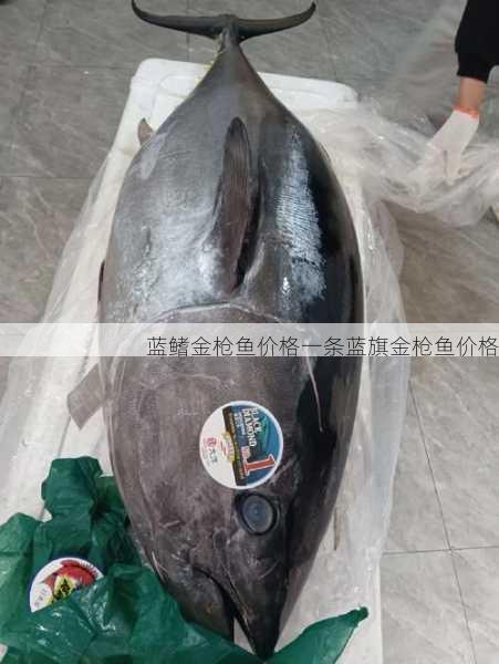 蓝鳍金枪鱼价格一条蓝旗金枪鱼价格第2张-蔬菜基地绿色种植产业带 蓝鳍金枪鱼价格一条蓝旗金枪鱼价格