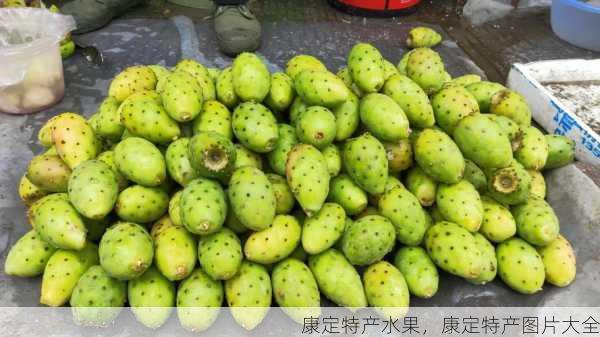 康定特产水果,康定特产图片大全第2张-蔬菜基地绿色种植产业带 康定特产水果,康定特产图片大全