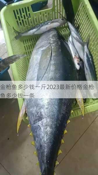 金枪鱼多少钱一斤2023最新价格金枪鱼多少钱一条第2张-蔬菜基地绿色种植产业带 金枪鱼多少钱一斤2023最新价格金枪鱼多少钱一条
