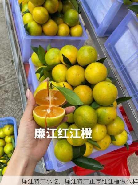 廉江特产小吃，廉江特产正宗红江橙怎么样第1张-蔬菜基地绿色种植产业带