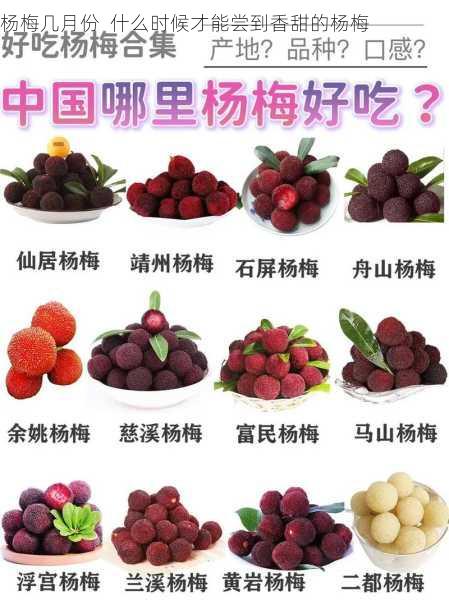 杨梅几月份 什么时候才能尝到香甜的杨梅第1张-蔬菜基地绿色种植产业带 杨梅几月份 什么时候才能尝到香甜的杨梅