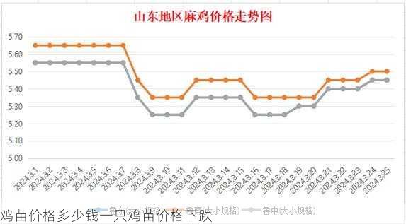鸡苗价格多少钱一只鸡苗价格下跌第2张-蔬菜基地绿色种植产业带 鸡苗价格多少钱一只鸡苗价格下跌