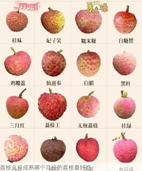 荔枝几月成熟哪个月份的荔枝最好吃第1张-蔬菜基地绿色种植产业带 荔枝几月成熟哪个月份的荔枝最好吃
