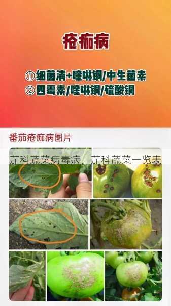 茄科蔬菜病毒病,茄科蔬菜一览表第1张-蔬菜基地绿色种植产业带 茄科蔬菜病毒病,茄科蔬菜一览表