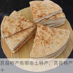莒县特产有哪些土特产,莒县特产十第1张-蔬菜基地绿色种植产业带 莒县特产有哪些土特产,莒县特产十