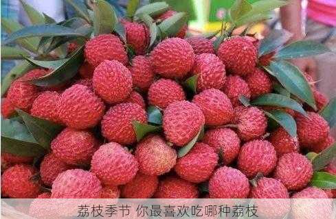 荔枝季节 你最喜欢吃哪种荔枝第2张-蔬菜基地绿色种植产业带