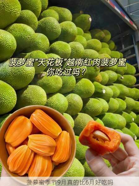 菠萝蜜季节9月真的比6月好吃吗第1张-蔬菜基地绿色种植产业带 菠萝蜜季节9月真的比6月好吃吗