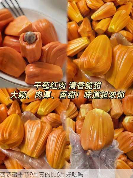 菠萝蜜季节9月真的比6月好吃吗第2张-蔬菜基地绿色种植产业带 菠萝蜜季节9月真的比6月好吃吗