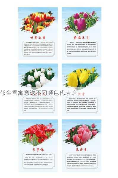 郁金香寓意送不同颜色代表啥第1张-蔬菜基地绿色种植产业带 郁金香寓意送不同颜色代表啥