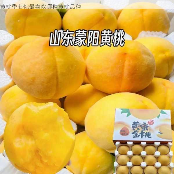 黄桃季节你最喜欢哪种黄桃品种第2张-蔬菜基地绿色种植产业带 黄桃季节你最喜欢哪种黄桃品种