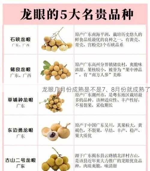 龙眼几月份成熟是不是7、8月份就成熟了第1张-蔬菜基地绿色种植产业带 龙眼几月份成熟是不是7、8月份就成熟了
