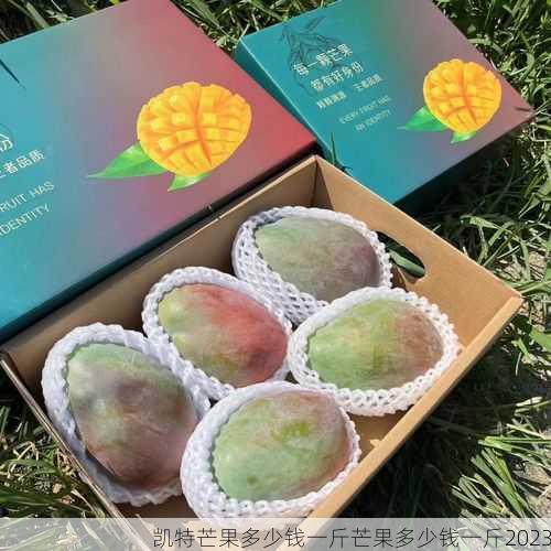 凯特芒果多少钱一斤芒果多少钱一斤2023第1张-蔬菜基地绿色种植产业带 凯特芒果多少钱一斤芒果多少钱一斤2023