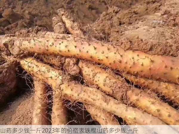 山药多少钱一斤2023年的价格表铁棍山药多少钱一斤第1张-蔬菜基地绿色种植产业带 山药多少钱一斤2023年的价格表铁棍山药多少钱一斤