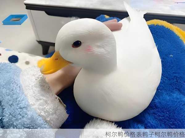 柯尔鸭价格表鸭子柯尔鸭价格第2张-蔬菜基地绿色种植产业带 柯尔鸭价格表鸭子柯尔鸭价格