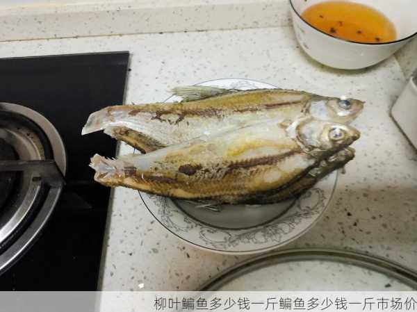 柳叶鳊鱼多少钱一斤鳊鱼多少钱一斤市场价第1张-蔬菜基地绿色种植产业带 柳叶鳊鱼多少钱一斤鳊鱼多少钱一斤市场价
