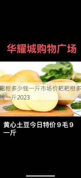 耙耙柑多少钱一斤市场价耙耙柑多少钱一斤2023第1张-蔬菜基地绿色种植产业带 耙耙柑多少钱一斤市场价耙耙柑多少钱一斤2023