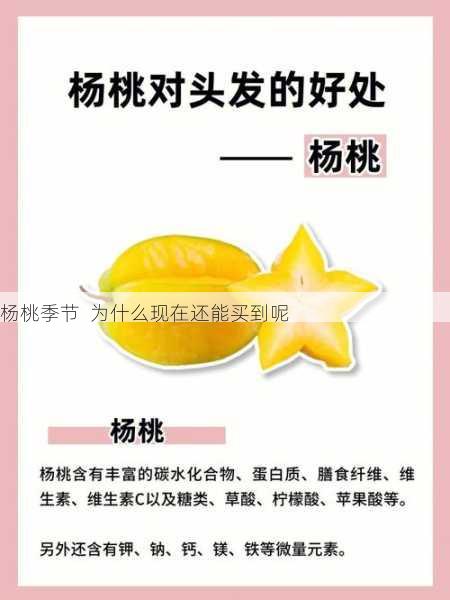 杨桃季节 为什么现在还能买到呢第1张-蔬菜基地绿色种植产业带 杨桃季节 为什么现在还能买到呢