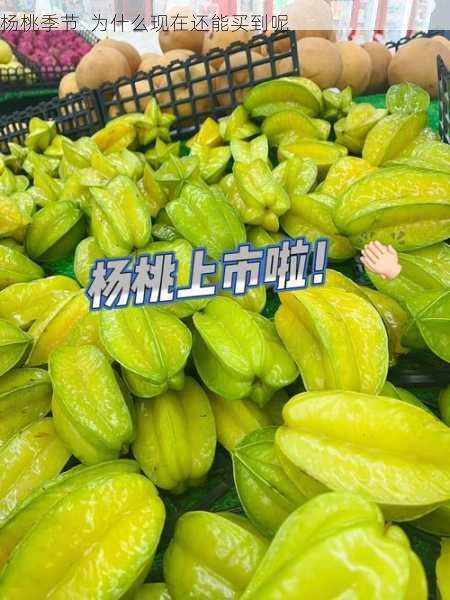 杨桃季节 为什么现在还能买到呢第2张-蔬菜基地绿色种植产业带 杨桃季节 为什么现在还能买到呢