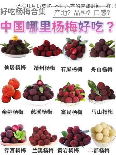 杨梅几月份成熟 不同地方的成熟时间一样吗第1张-蔬菜基地绿色种植产业带 杨梅几月份成熟 不同地方的成熟时间一样吗