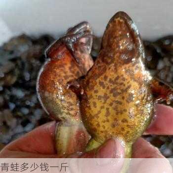 青蛙多少钱一斤第1张-蔬菜基地绿色种植产业带 青蛙多少钱一斤