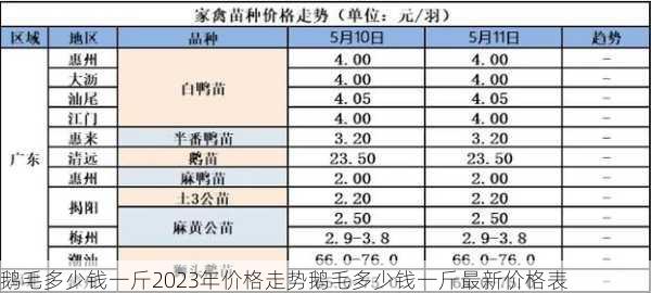 鹅毛多少钱一斤2023年价格走势鹅毛多少钱一斤最新价格表第1张-蔬菜基地绿色种植产业带 鹅毛多少钱一斤2023年价格走势鹅毛多少钱一斤最新价格表